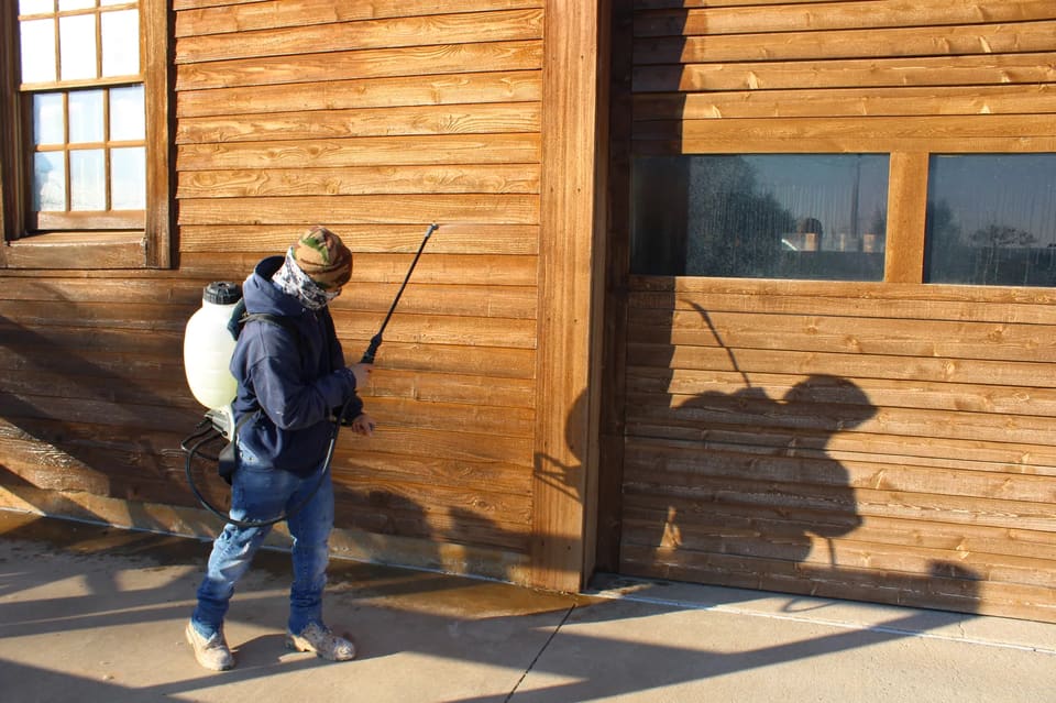 a man spraying bleach on the wood siding to prepare it for stain.